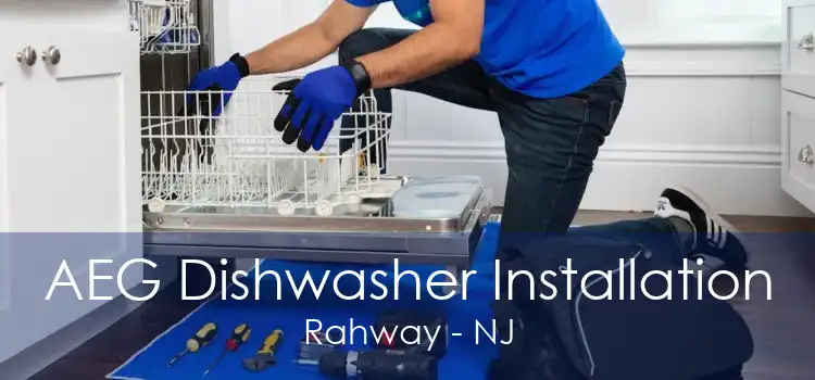 AEG Dishwasher Installation Rahway - NJ