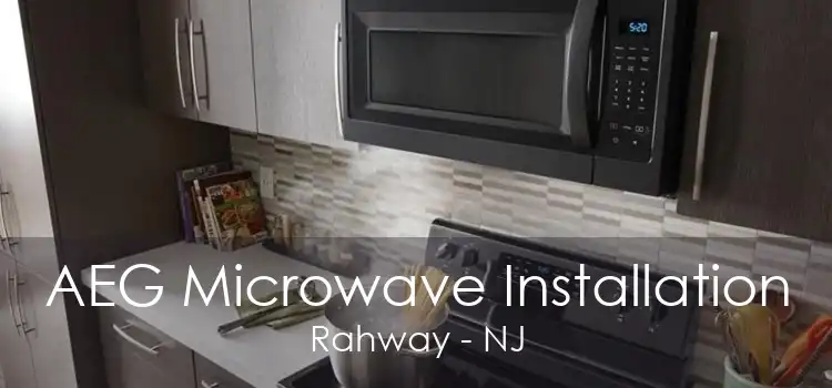 AEG Microwave Installation Rahway - NJ