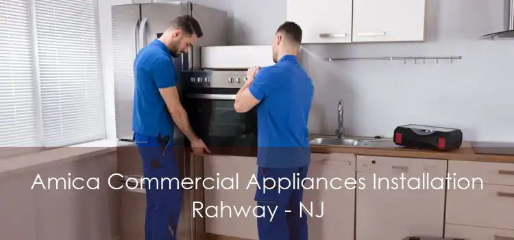 Amica Commercial Appliances Installation Rahway - NJ
