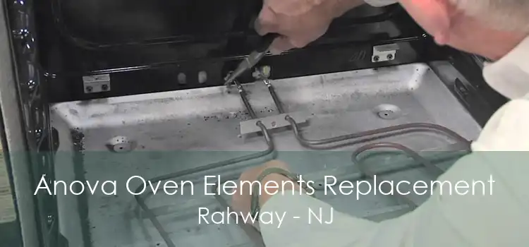 Anova Oven Elements Replacement Rahway - NJ