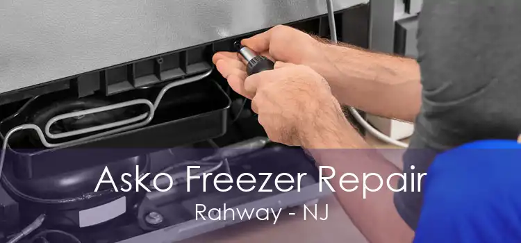 Asko Freezer Repair Rahway - NJ