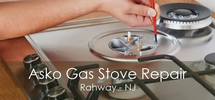 Asko Gas Stove Repair Rahway - NJ
