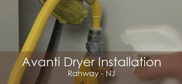 Avanti Dryer Installation Rahway - NJ