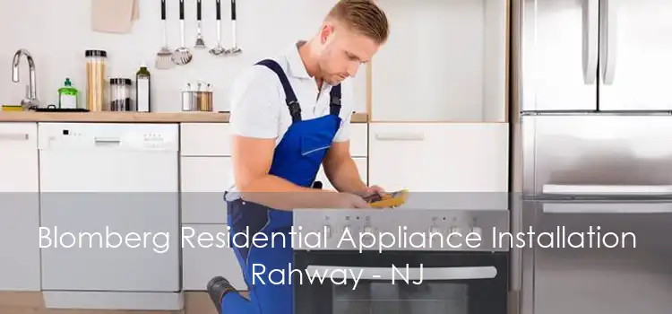 Blomberg Residential Appliance Installation Rahway - NJ