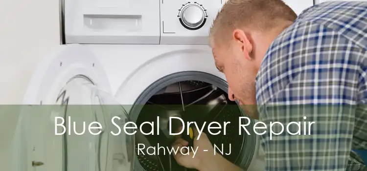 Blue Seal Dryer Repair Rahway - NJ