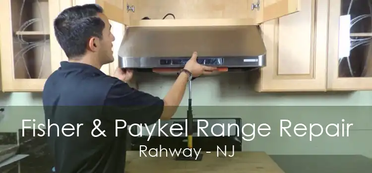 Fisher & Paykel Range Repair Rahway - NJ