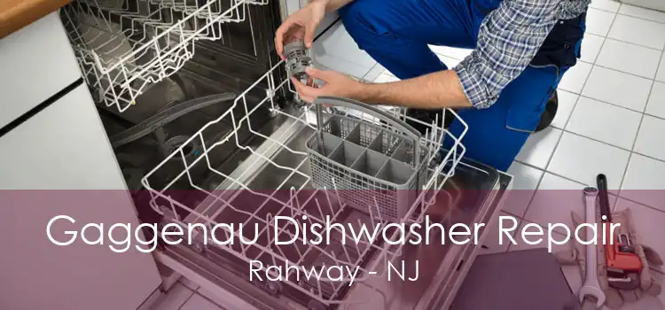 Gaggenau Dishwasher Repair Rahway - NJ