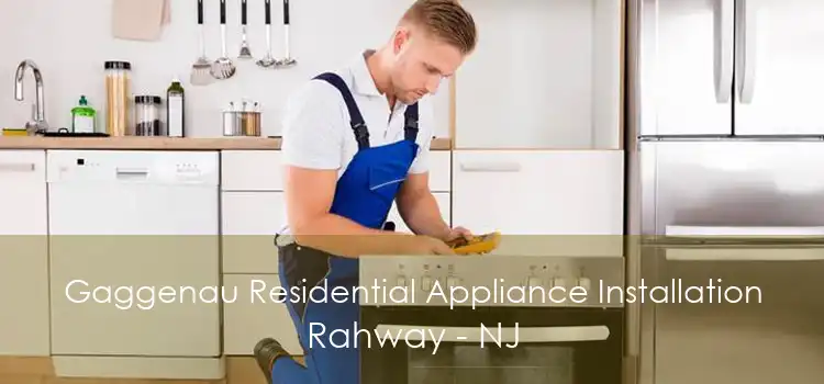 Gaggenau Residential Appliance Installation Rahway - NJ