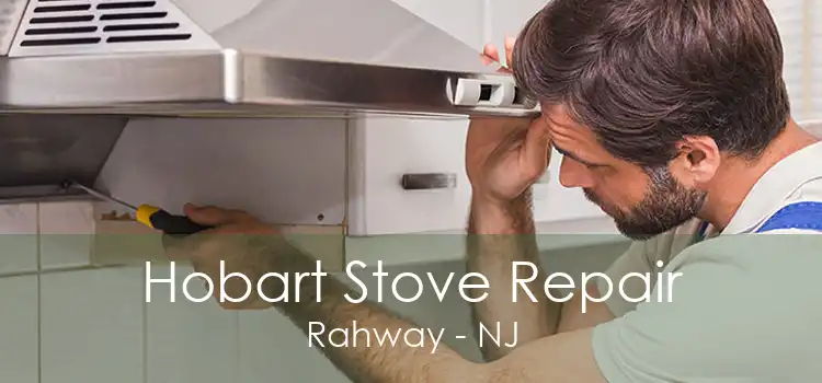 Hobart Stove Repair Rahway - NJ