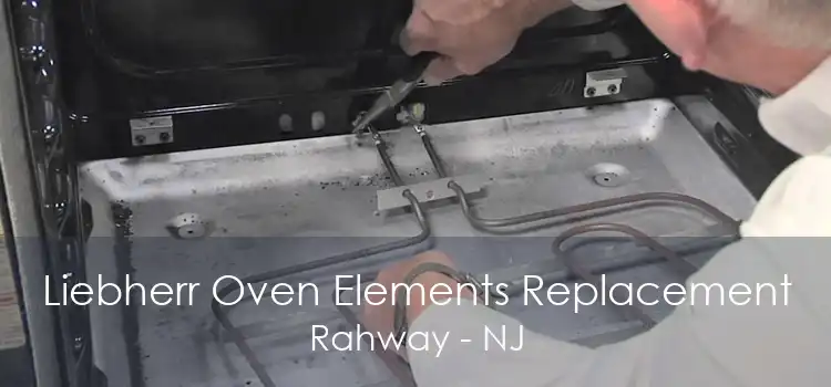 Liebherr Oven Elements Replacement Rahway - NJ