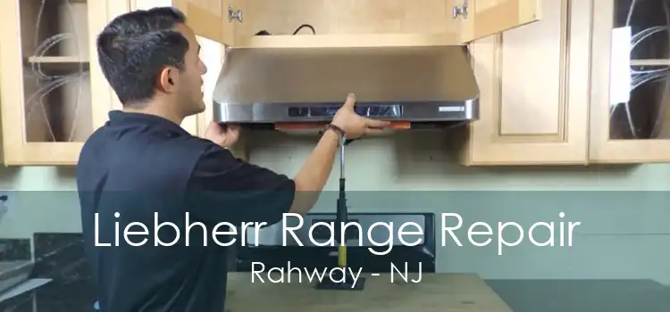 Liebherr Range Repair Rahway - NJ
