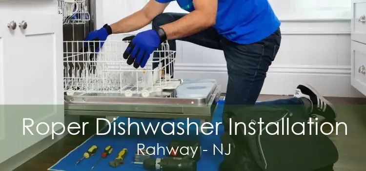 Roper Dishwasher Installation Rahway - NJ