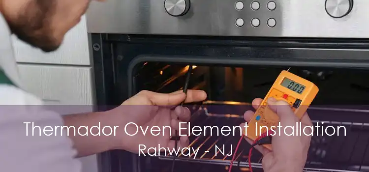 Thermador Oven Element Installation Rahway - NJ