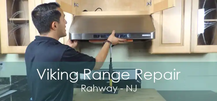 Viking Range Repair Rahway - NJ