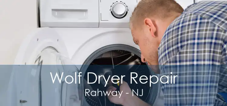 Wolf Dryer Repair Rahway - NJ